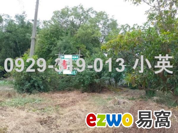 鹽水近仁光國小建地						 						 						 						 						 						