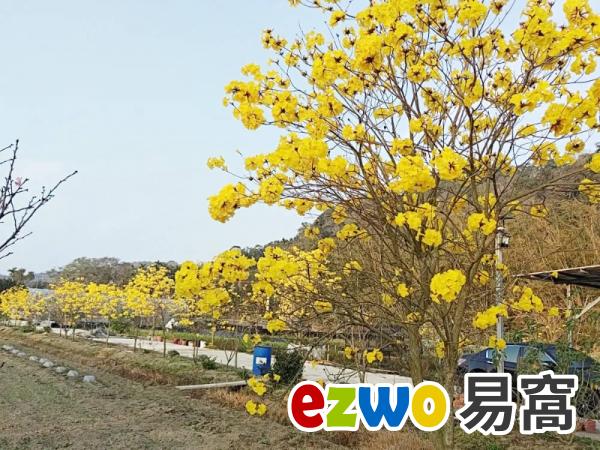 苗栗三灣鄉私人休閒度假區農地出售每坪7萬,私人度假開心農場出售,開心魚農場出售,私人莊園出售