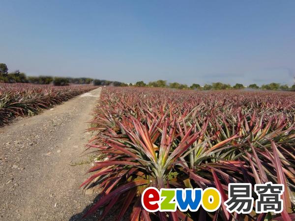 屏東長治一甲二山景農地  投資前景看好