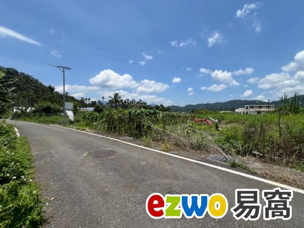 日月潭近向山中心建地