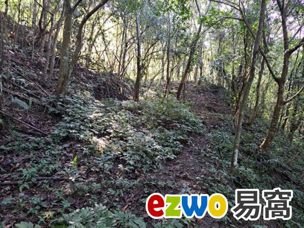 南庄低於公告現值便宜林地@一甲290萬