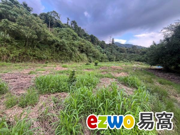 國姓愛山水特大平台地